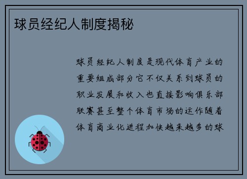 球员经纪人制度揭秘